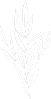 Ультразвуковий <br> Smas Lifting